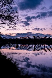 Preview wallpaper tree, river, fence, reflection, evening