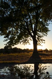 Preview wallpaper tree, river, reflection, bench, nature, landscape