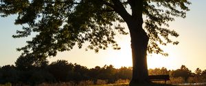 Preview wallpaper tree, river, reflection, bench, nature, landscape