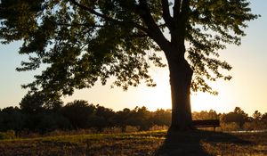 Preview wallpaper tree, river, reflection, bench, nature, landscape