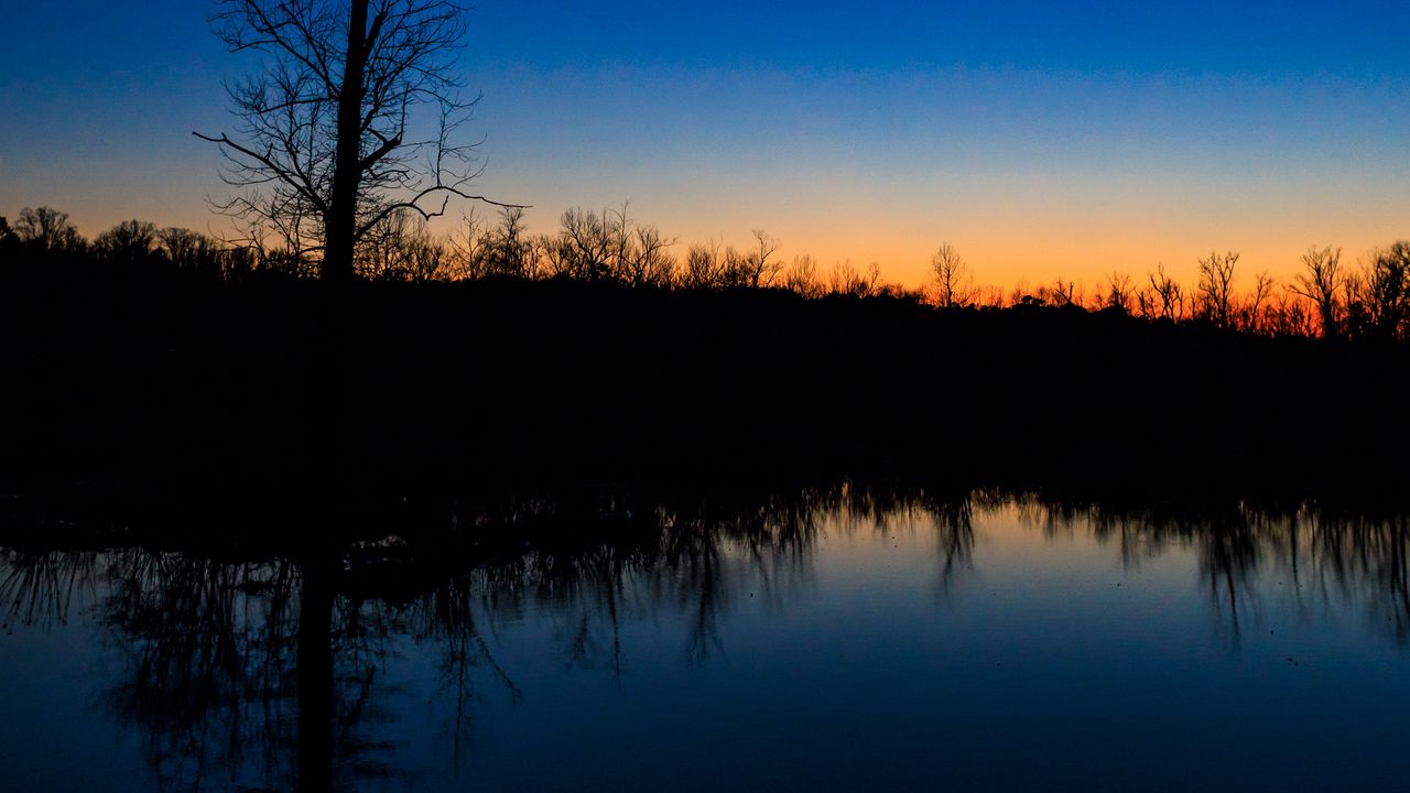 Wallpaper tree, river, reflection, evening