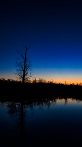 Preview wallpaper tree, river, reflection, evening