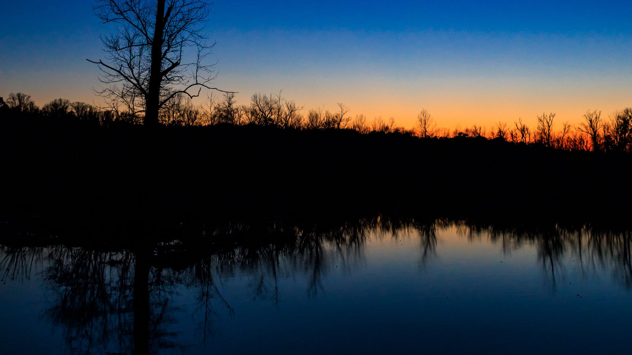 Download Wallpaper 2048x1152 Tree River Reflection Evening Ultrawide