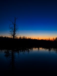 Preview wallpaper tree, river, reflection, evening