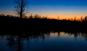 Preview wallpaper tree, river, reflection, evening