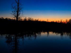 Preview wallpaper tree, river, reflection, evening