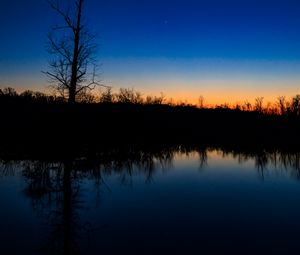 Preview wallpaper tree, river, reflection, evening