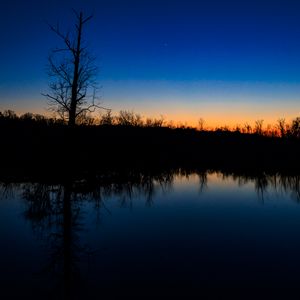 Preview wallpaper tree, river, reflection, evening