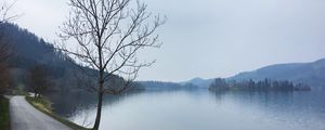 Preview wallpaper tree, river, road, coast, nature