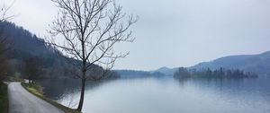 Preview wallpaper tree, river, road, coast, nature