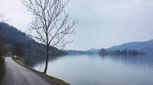 Preview wallpaper tree, river, road, coast, nature