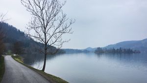 Preview wallpaper tree, river, road, coast, nature