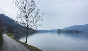 Preview wallpaper tree, river, road, coast, nature