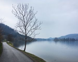 Preview wallpaper tree, river, road, coast, nature