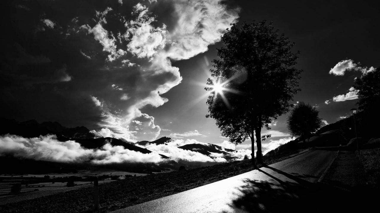 Wallpaper tree, road, bw, sunset, clouds