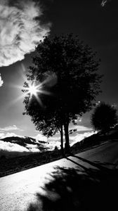 Preview wallpaper tree, road, bw, sunset, clouds