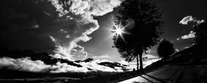 Preview wallpaper tree, road, bw, sunset, clouds