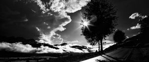 Preview wallpaper tree, road, bw, sunset, clouds