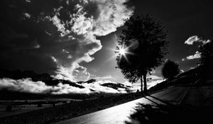 Preview wallpaper tree, road, bw, sunset, clouds