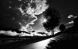 Preview wallpaper tree, road, bw, sunset, clouds
