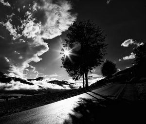 Preview wallpaper tree, road, bw, sunset, clouds