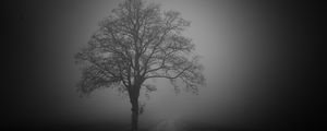 Preview wallpaper tree, road, fog, dark