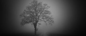 Preview wallpaper tree, road, fog, dark