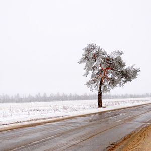 Preview wallpaper tree, road, lonely, snow, dirt