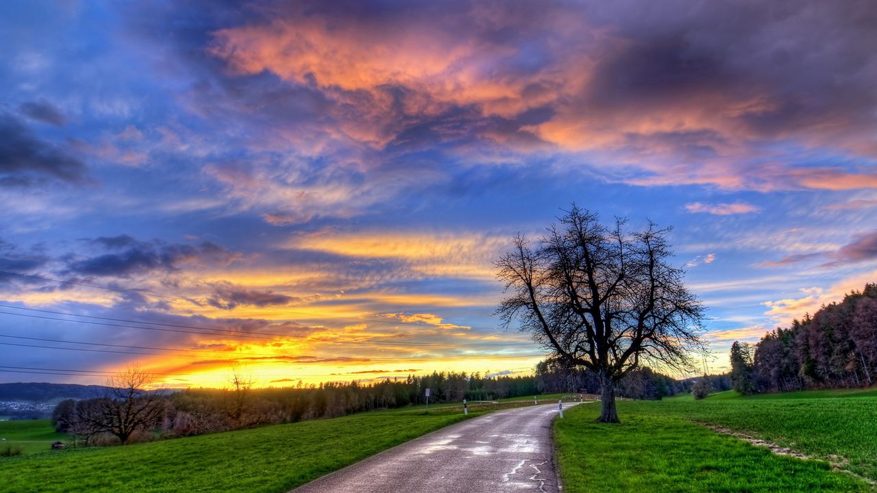 Wallpaper tree, road, turn, decline, silence