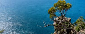 Preview wallpaper tree, rock, sea, landscape