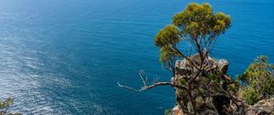 Preview wallpaper tree, rock, sea, landscape