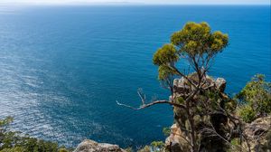 Preview wallpaper tree, rock, sea, landscape