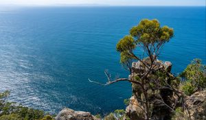 Preview wallpaper tree, rock, sea, landscape