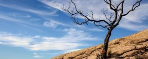 Preview wallpaper tree, rock, slope, landscape, nature