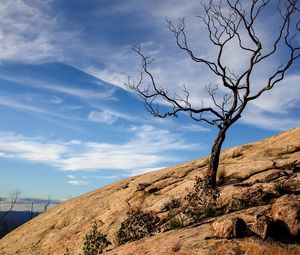 Preview wallpaper tree, rock, slope, landscape, nature