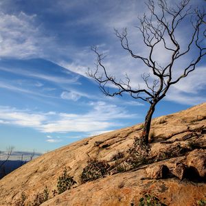 Preview wallpaper tree, rock, slope, landscape, nature