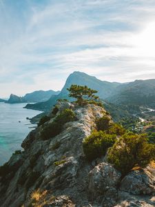 Preview wallpaper tree, rocks, cliff, sea, sky