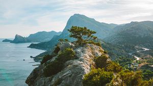 Preview wallpaper tree, rocks, cliff, sea, sky