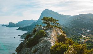 Preview wallpaper tree, rocks, cliff, sea, sky