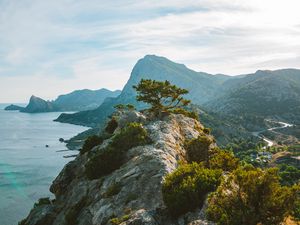 Preview wallpaper tree, rocks, cliff, sea, sky