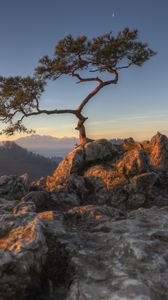 Preview wallpaper tree, rocks, cliff, stones, sky