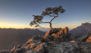 Preview wallpaper tree, rocks, cliff, stones, sky