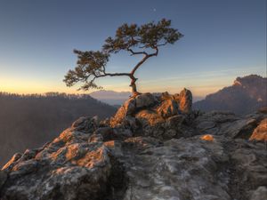 Preview wallpaper tree, rocks, cliff, stones, sky