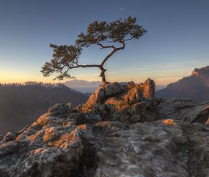 Preview wallpaper tree, rocks, cliff, stones, sky