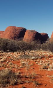 Preview wallpaper tree, rocks, desert, nature