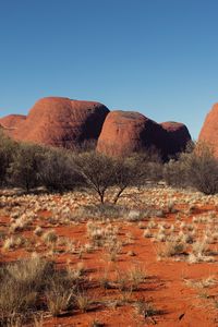 Preview wallpaper tree, rocks, desert, nature