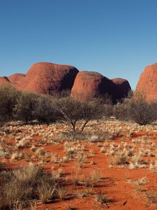 Preview wallpaper tree, rocks, desert, nature