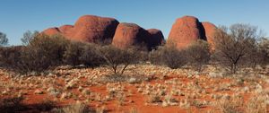 Preview wallpaper tree, rocks, desert, nature