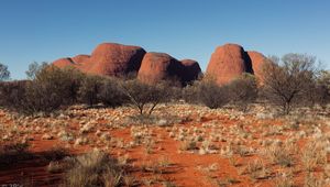 Preview wallpaper tree, rocks, desert, nature