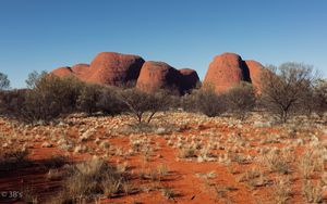 Preview wallpaper tree, rocks, desert, nature